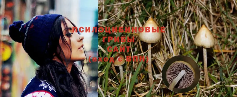 Галлюциногенные грибы Magic Shrooms  Бокситогорск 